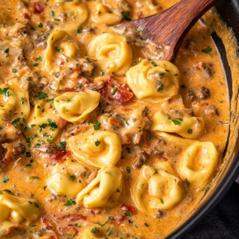Slow Cooker Tomato Tortellini Soup Recipe